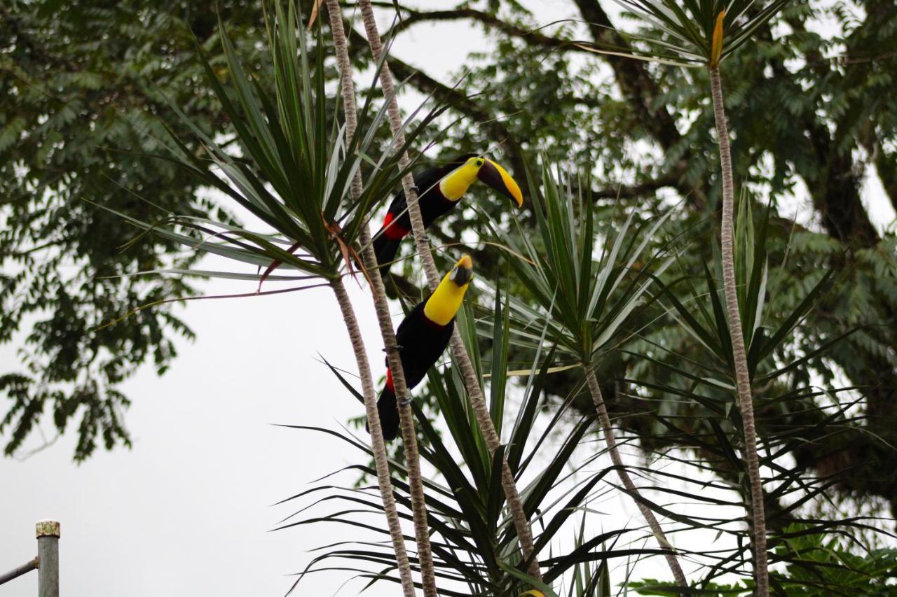 Hotel Arte Natura La Fortuna Exterior foto